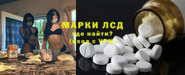 ECSTASY Богданович