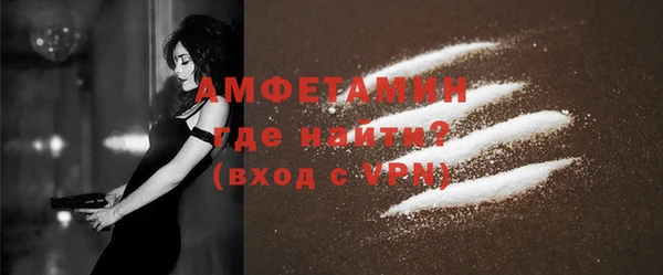 трава Корсаков