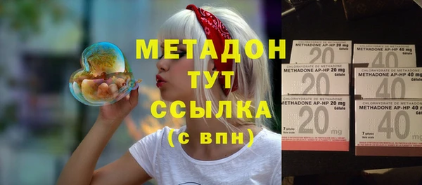 трава Корсаков