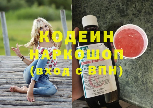 трава Корсаков