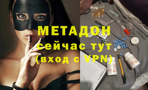 трава Корсаков