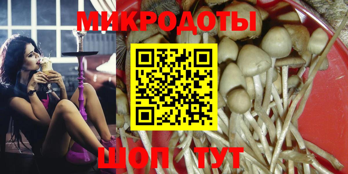 Галлюциногенные грибы прущие грибы Подольск